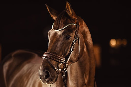 Horse browband Crystal White by IBV Equine
This is a BEST SELLER
While stunning with timeless white lab diamonds, this collection offers boundless creative freedom. You can effortlessly replace them with vibrant colored diamonds, allowing for endless combinations. With over 25 colors and 4 browband shapes and stone size to choose from, you have the ultimate ability to design a piece that perfectly reflects your unique style and vision.