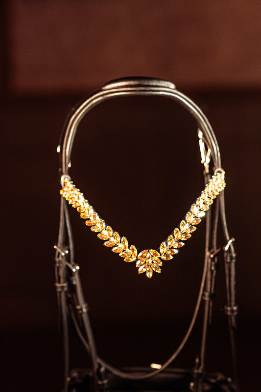 Horse browband Caesar Topaz by IBV Equine
