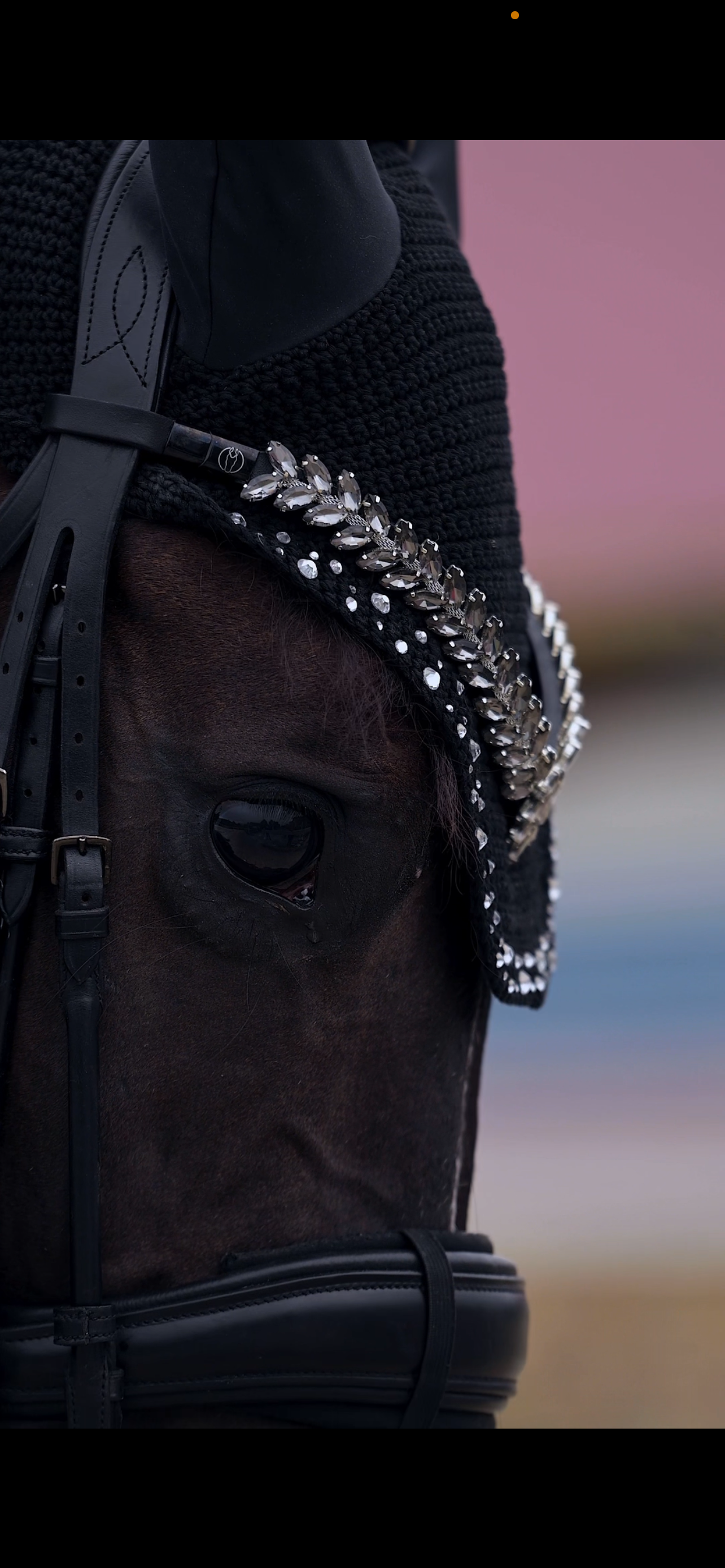 Horse browband Caesar by IBV Equine