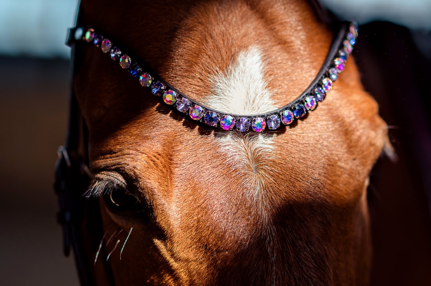 Horse browband Crystal Aurora Amethyst by IBV Equine