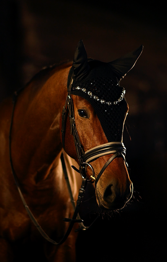 Horse browband Crystal Black&White by IBV Equine