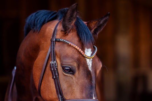 Horse browband Crystal Black to Yellow Ombre by IBV Equine