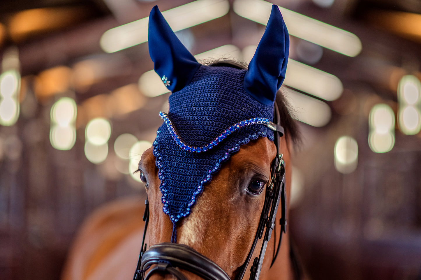 Horse browband Crystal Blue by IBV Equine