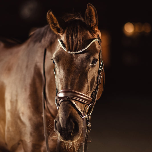 Horse browband Crystal Diamond Lacy White by IBV Equine