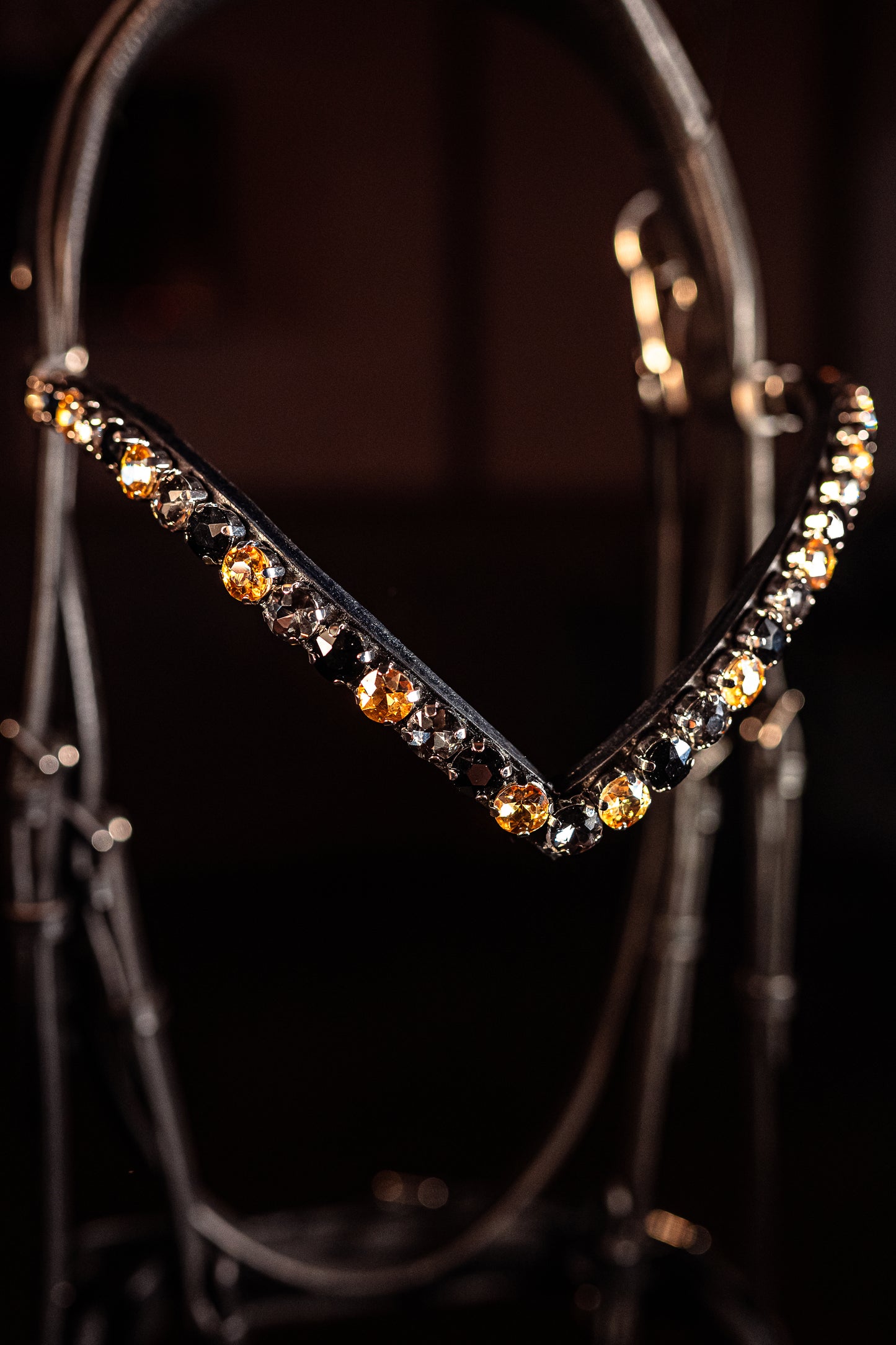 Horse browband Crystal Topaz Black by IBV Equine
