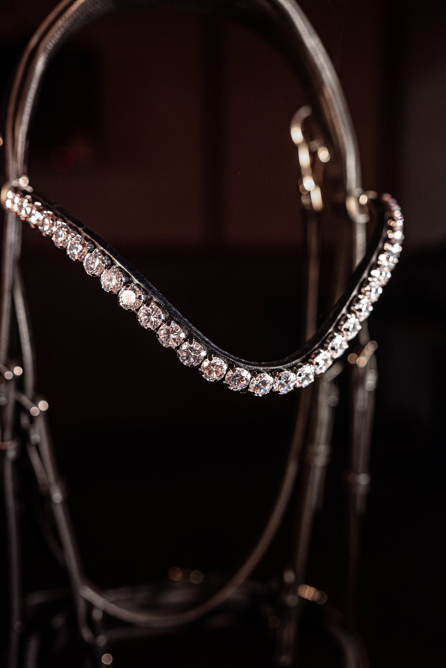 Horse browband Crystal White Diamond by IBV Equine