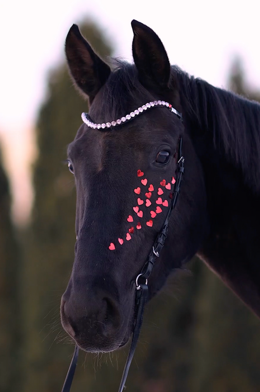 Horse browband Crystal White Heart by IBV Equine