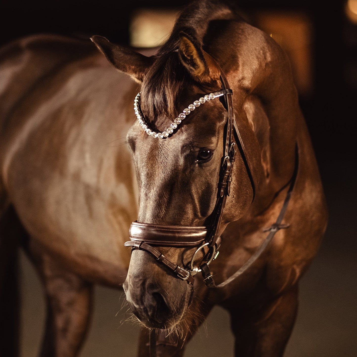 Horse browband Crystal White by IBV Equine
This is one of our BEST SELLERS
While stunning with timeless white lab diamonds, this collection offers boundless creative freedom. You can effortlessly replace them with vibrant colored diamonds, allowing for endless combinations. With over 25 colors and 4 browband shapes and stone size to choose from, you have the ultimate ability to design a piece that perfectly reflects your unique style and vision.Please contact us if you would like to&n