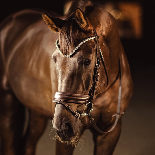 Horse browband Crystal White Diamond Lacy by IBV Equine