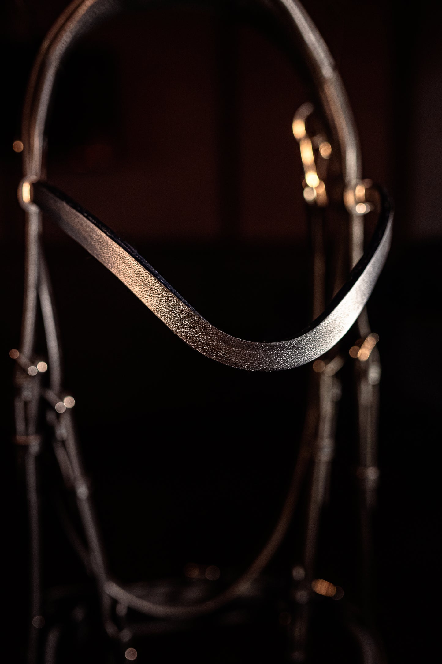 Horse browband Leather by IBV Equine
For those who appreciate refined simplicity, this browband offers a sleek and sophisticated statement, it boasts a subtle yet captivating lustrous finish that gently catches the light, providing a contemporary twist on a timeless design. Its clean, elegant curve enhances your horse's brow with an understated grace, perfect for riders seeking minimalist perfection or a high-quality foundational piece.
Each browband is handmade from scratch using premium European materials