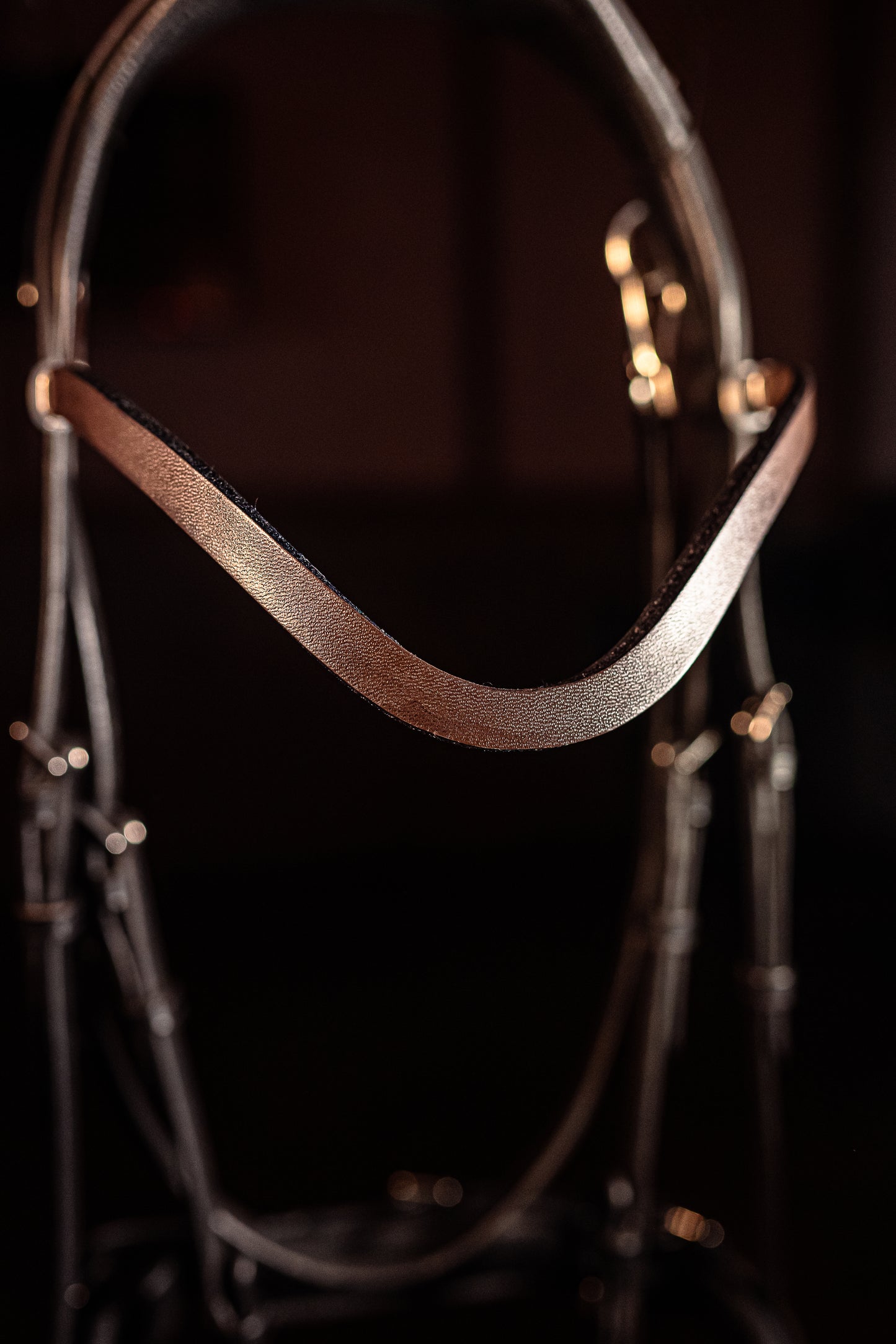 Horse browband Leather Brown by IBV Equine
For those who appreciate refined simplicity, this browband offers a sleek and sophisticated statement, it boasts a subtle yet captivating lustrous finish that gently catches the light, providing a contemporary twist on a timeless design. Its clean, elegant curve enhances your horse's brow with an understated grace, perfect for riders seeking minimalist perfection or a high-quality foundational piece.