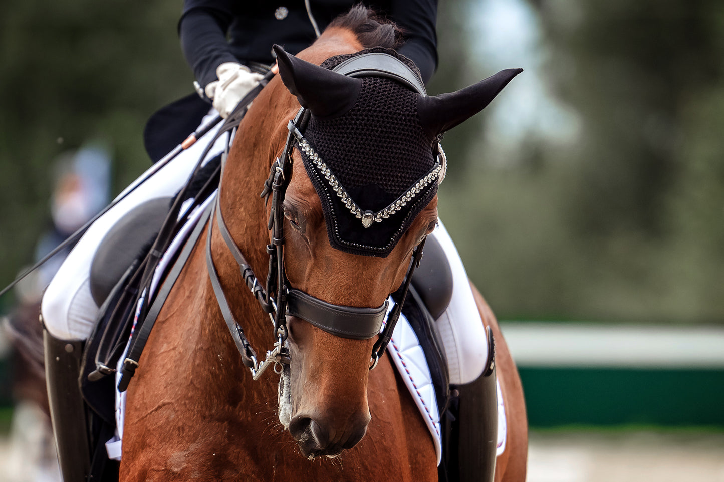 Horse browband Regalia White browband by IBV Equine
Experience a new dimension of browband design. Caesar collection browband is a testament to ancient elegance reimagined for modern equestrianism. Its distinctive V-shape features meticulously placed, leaf-like added a large stone in the center for emphasis radiant sparkle.
Each browband is handmade from scratch using premium European materials and durable leather. Featuring our exclusive magnetic snap system