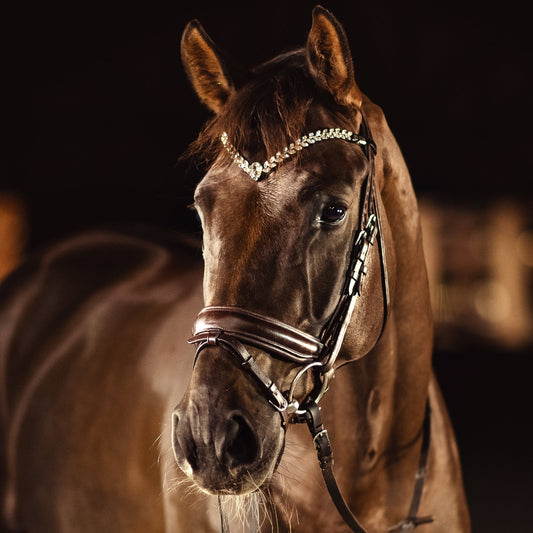 Horse browband Regalia White browband by IBV Equine
Experience a new dimension of browband design. Caesar collection browband is a testament to ancient elegance reimagined for modern equestrianism. Its distinctive V-shape features meticulously placed, leaf-like added a large stone in the center for emphasis radiant sparkle.
Each browband is handmade from scratch using premium European materials and durable leather. Featuring our exclusive magnetic snap system