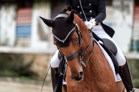 Horse browband Regalia White browband by IBV Equine