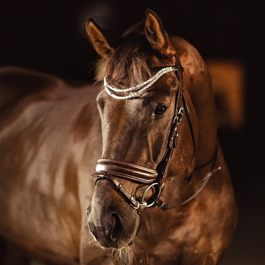 Horse browband Spectrum Double Topaz with beads browband by IBV Equine
Experience a new dimension of browband design. Crafted with a pair of soft,
flexible tubes, each generously sprinkled with dazzling rhinestones, this piece offers a unique texture and radiant sparkle. An internal metal wire allows for effortless shaping, ensuring a perfect contour to your horse's brow and maintaining its elegant form.
Each browband is handmade from scratch using premium European materials and durable leather. Featu