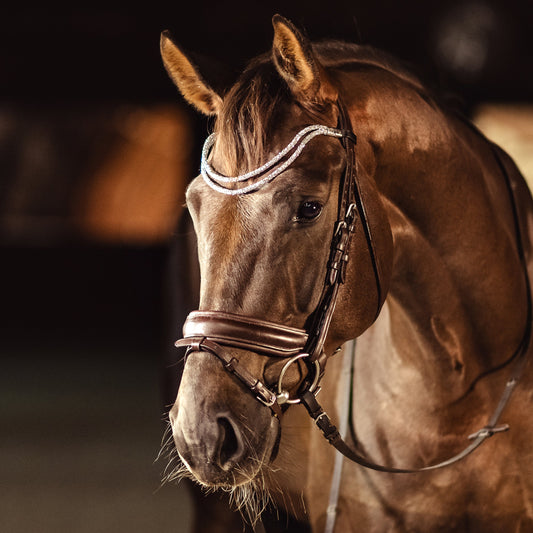 Horse browband Spectrum Double White by IBV Equine