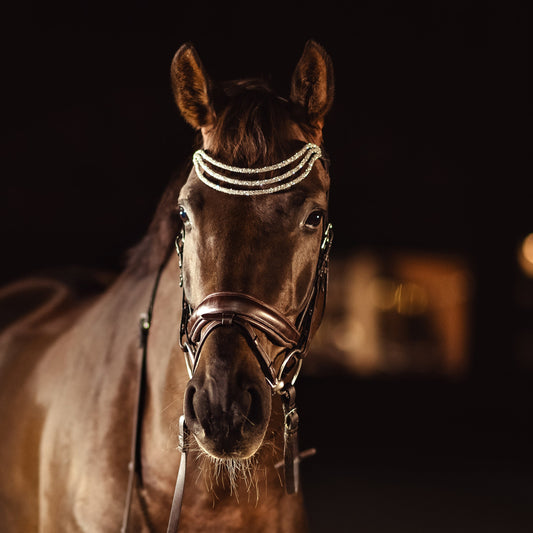 Horse browband Spectrum Tripple White by IBV EquineCrafted with three soft, flexible tubes, each generously sprinkled with dazzling rhinestones, this piece offers a unique texture and radiant sparkle. An internal metal wire allows for effortless shaping, ensuring a perfect contour to your horse's brow and maintaining its elegant form.
Each browband is handmade from scratch using premium European materials and durable leather. Featuring our exclusive magnetic snap