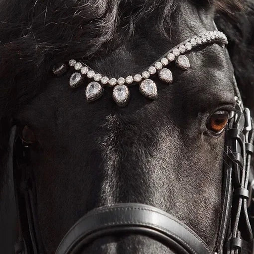 Horse browband Triumph Diamond Premium by IBV Equine This exquisite browband is composed entirely of brilliant artificial diamonds, meticulously set within an incredibly beautiful lace frame. The top row of these magnificent diamonds commands attention at a striking 8 mm, creating a continuous river of light.Featuring our exclusive magnetic snap system, you can instantly change your browband to suit any outfit or occasion.