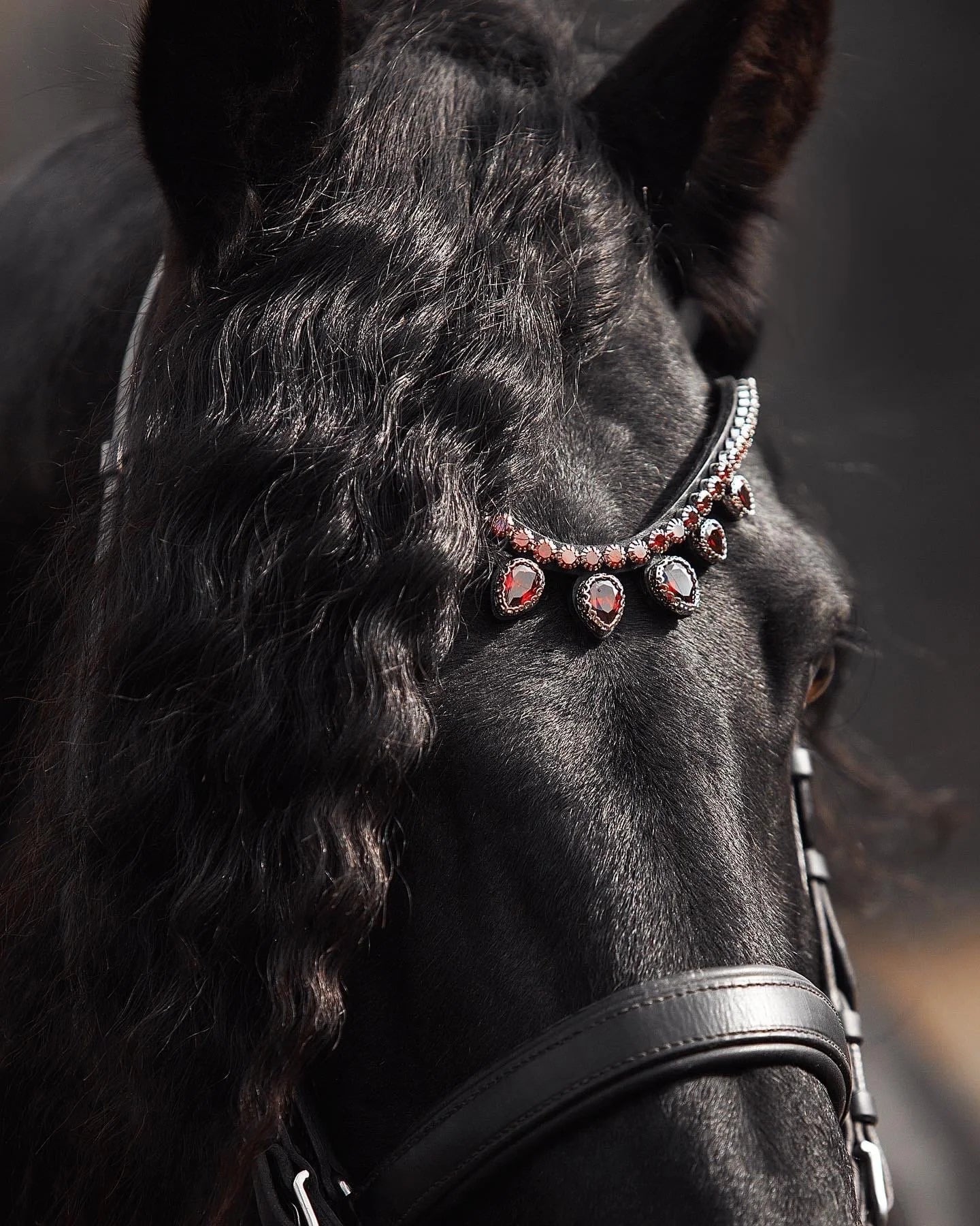 Horse browband Triumph Diamond Premium by IBV Equine This exquisite browband is composed entirely of brilliant artificial diamonds, meticulously set within an incredibly beautiful lace frame. The top row of these magnificent diamonds commands attention at a striking 8 mm, creating a continuous river of light.Featuring our exclusive magnetic snap system, you can instantly change your browband to suit any outfit or occasion.
