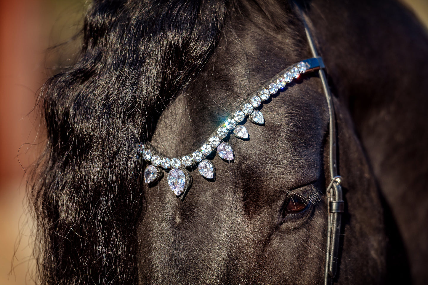 Horse browband Triumph by IBV Equine
Prepare for an unrivaled display of brilliance. This browband isn't just an accessory, it's a majestic adornment, meticulously crafted to create the magnificent effect of a tiara truly worthy of queens and kings.
Each droplet is further enhanced by a rhodium frame, adding an extra layer of luxurious sparkle and robust durability.
The result is a dazzling interplay of light, creating an iridescent spectacle that will capture every gaze.
Adorn your equine partner with the