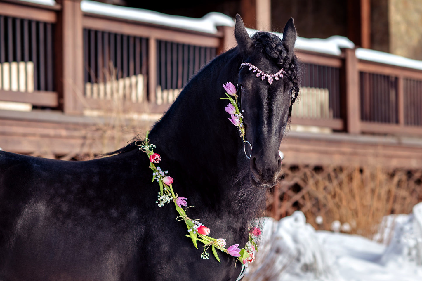 Horse browband Triumph by IBV Equine
Prepare for an unrivaled display of brilliance. This browband isn't just an accessory, it's a majestic adornment, meticulously crafted to create the magnificent effect of a tiara truly worthy of queens and kings.
Each droplet is further enhanced by a rhodium frame, adding an extra layer of luxurious sparkle and robust durability.
The result is a dazzling interplay of light, creating an iridescent spectacle that will capture every gaze.
Adorn your equine partner with the