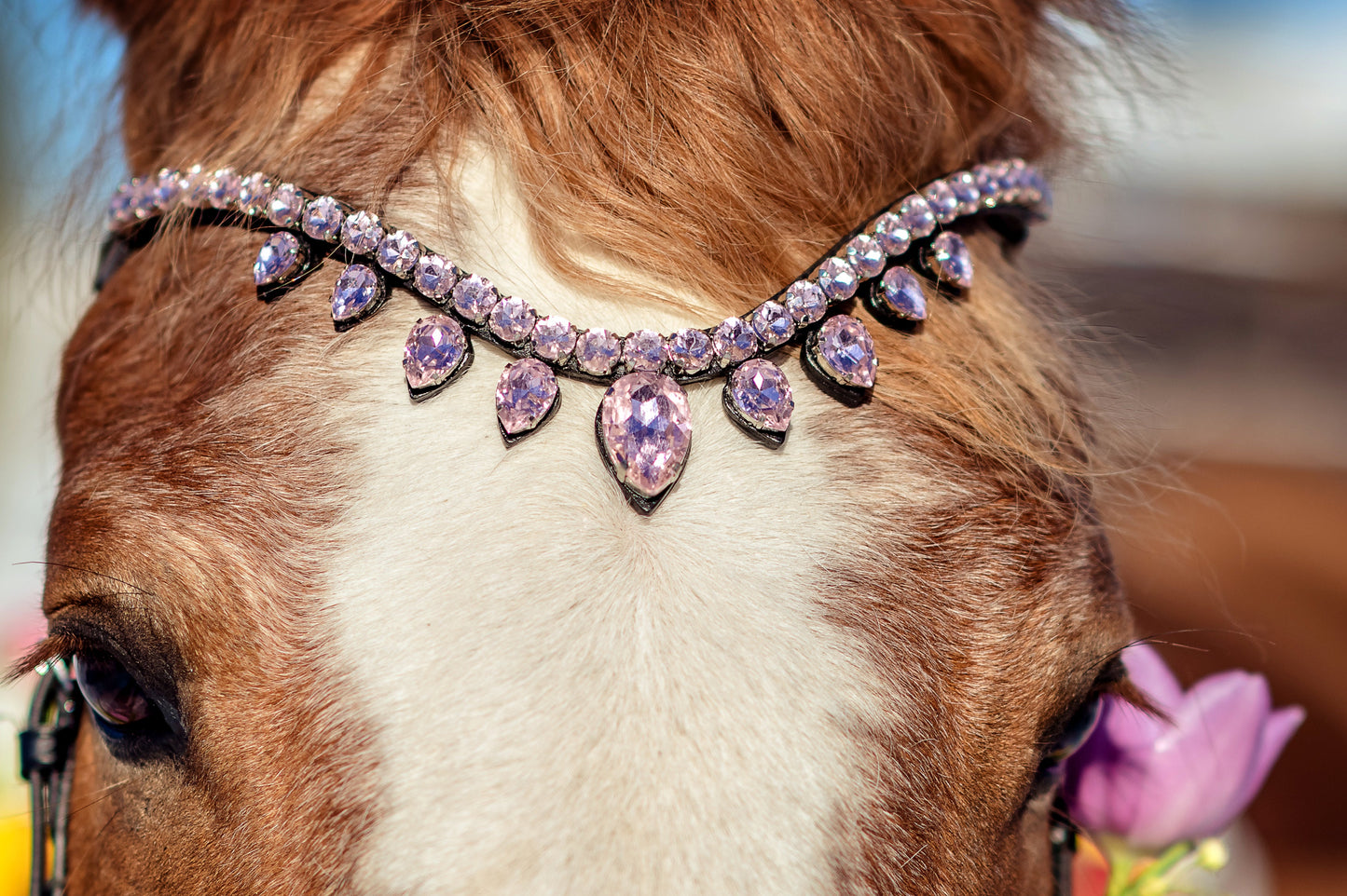 Horse browband Triumph by IBV Equine
Prepare for an unrivaled display of brilliance. This browband isn't just an accessory, it's a majestic adornment, meticulously crafted to create the magnificent effect of a tiara truly worthy of queens and kings.
Each droplet is further enhanced by a rhodium frame, adding an extra layer of luxurious sparkle and robust durability.
The result is a dazzling interplay of light, creating an iridescent spectacle that will capture every gaze.
Adorn your equine partner with the