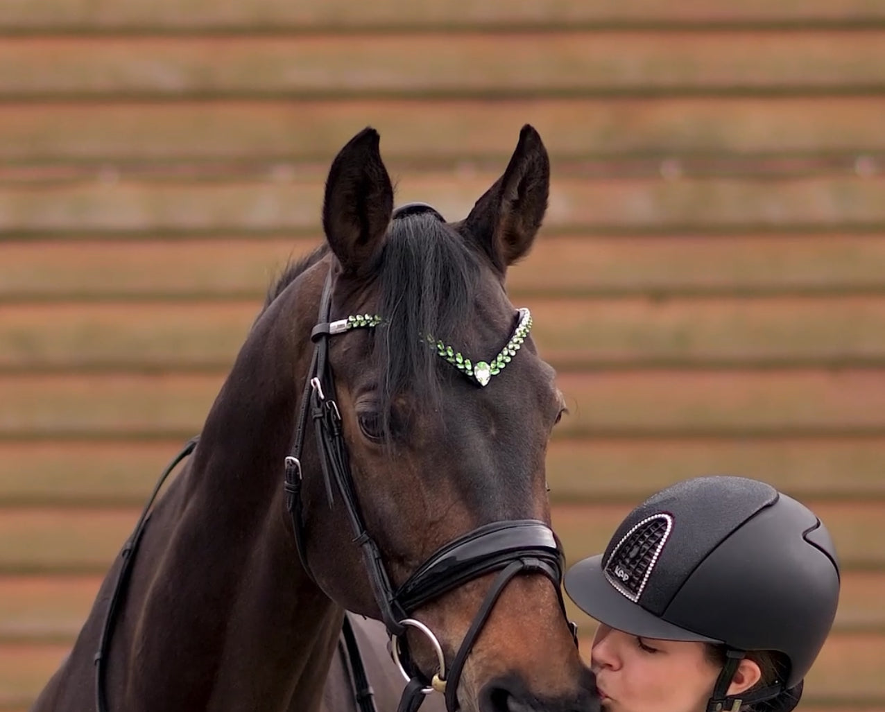 IBV EQUINE Regalia browband
