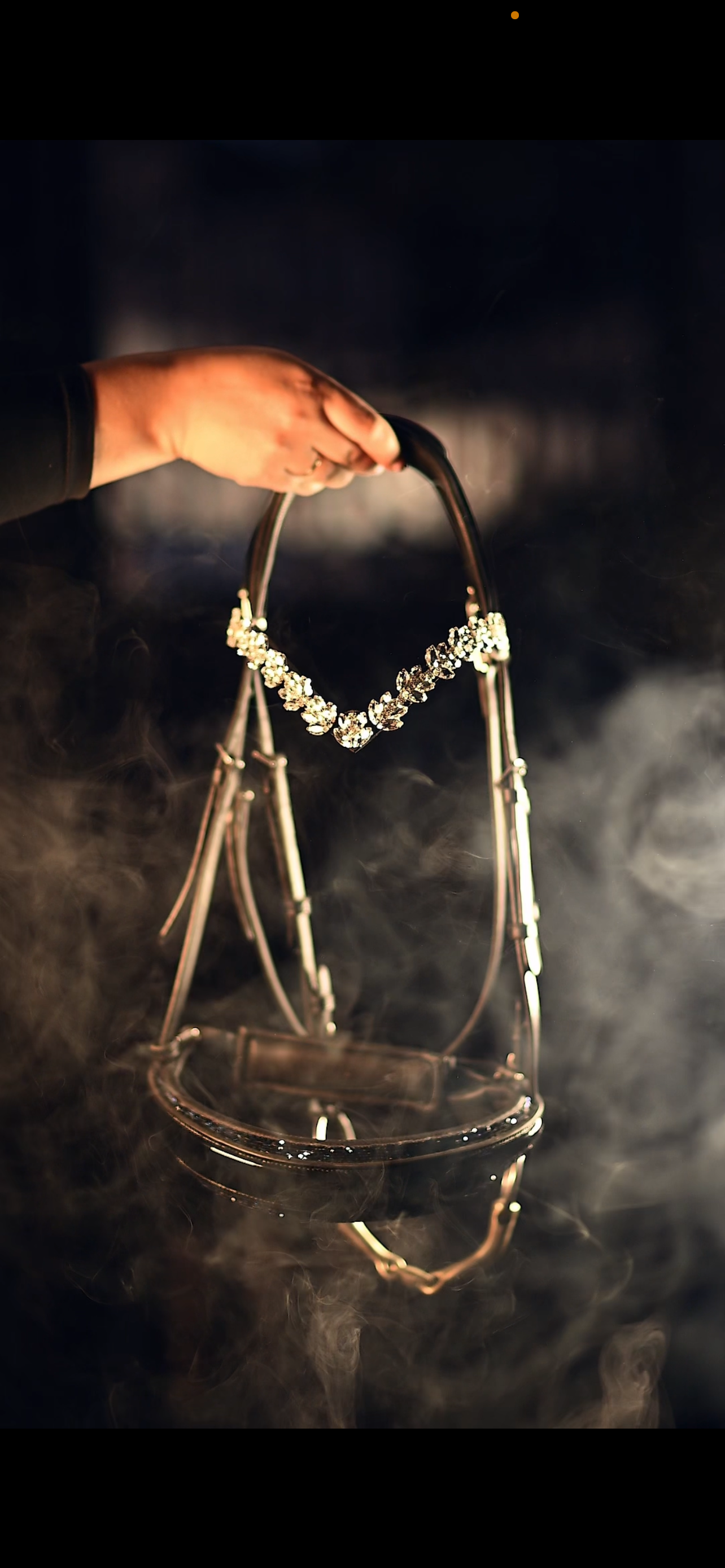 IBV EQUINE Cesar Browband