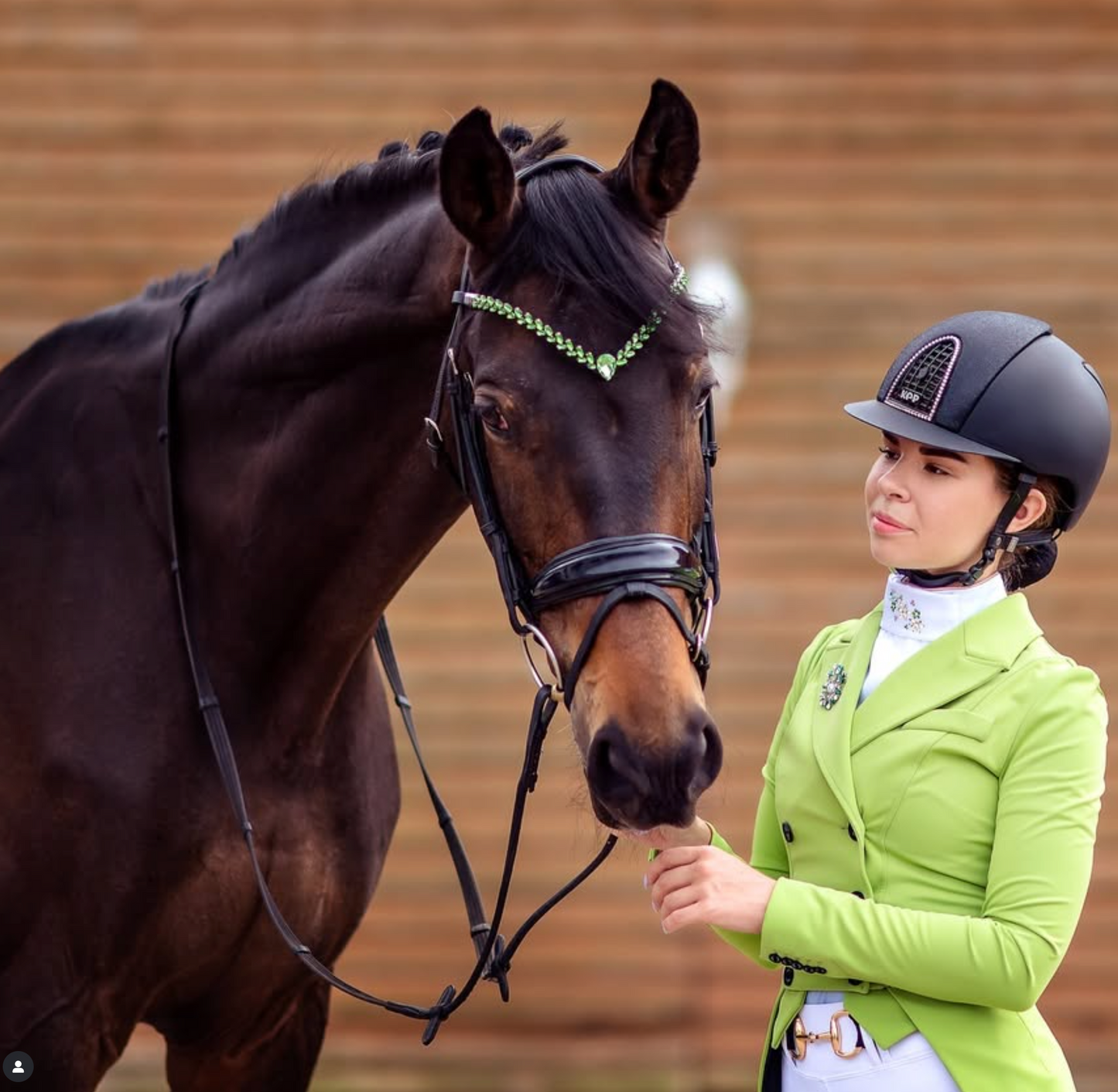 IBV EQUINE Regalia browband