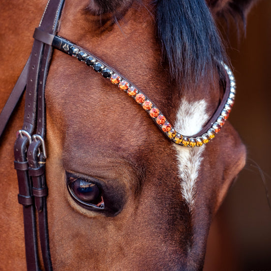 Horse browband Crystal Black to Yellow Ombre by IBV Equine