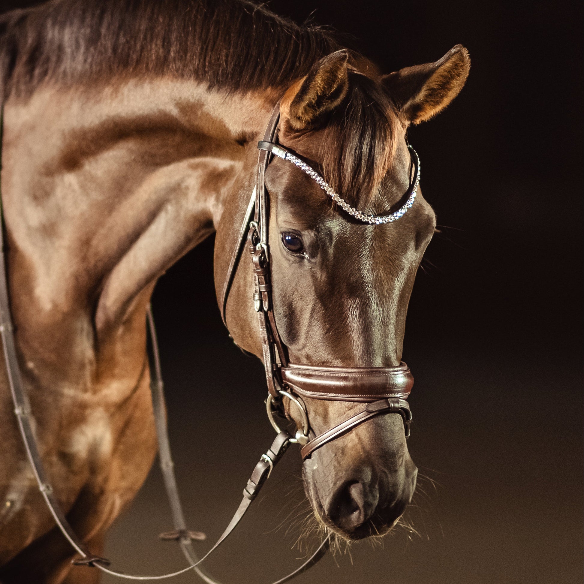 Horse browband Crystal mini&nbsp; by IBV Equine

Dive into a world of possibilities:

Combine any colors and sizes from our expansive palette.
Choose from four distinct rhinestone shapes.
Explore four unique layout options.
Select from more than 30 dazzling rhinestone colors.
Please&nbsp;contact&nbsp;us to&nbsp;create your own design.&nbsp;

Each rhinestone is meticulously set on a durable nubuck backing, ensuring vibrant sparkle. Our innovative attachment process uses specialized hot glue, creating an incr