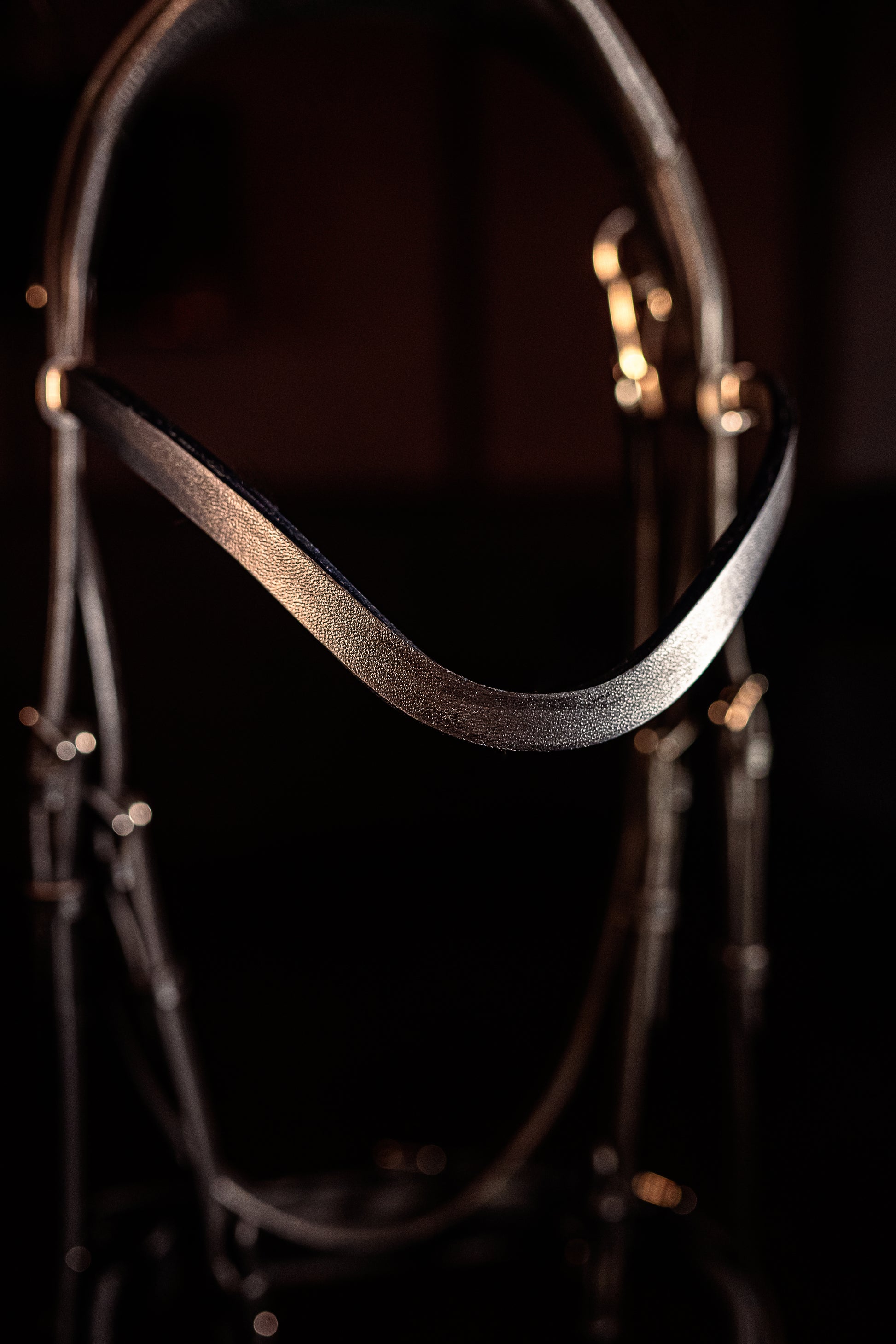 Horse browband Leather by IBV Equine
For those who appreciate refined simplicity, this browband offers a sleek and sophisticated statement, it boasts a subtle yet captivating lustrous finish that gently catches the light, providing a contemporary twist on a timeless design. Its clean, elegant curve enhances your horse's brow with an understated grace, perfect for riders seeking minimalist perfection or a high-quality foundational piece.
Each browband is handmade from scratch using premium European materials