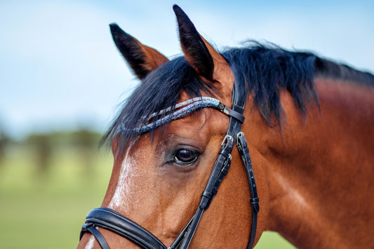 Horse browband Spectrum Tripple Ocean Sky by IBV Equine
Experience a new dimension of browband design. Crafted with three soft,
flexible tubes, each generously sprinkled with dazzling rhinestones, this piece offers a unique texture and radiant sparkle. An internal metal wire allows for effortless shaping, ensuring a perfect contour to your horse's brow and maintaining its elegant form.
Each browband is handmade from scratch using premium European materials and&nbsp;durable leather. Featuring our exclusive m