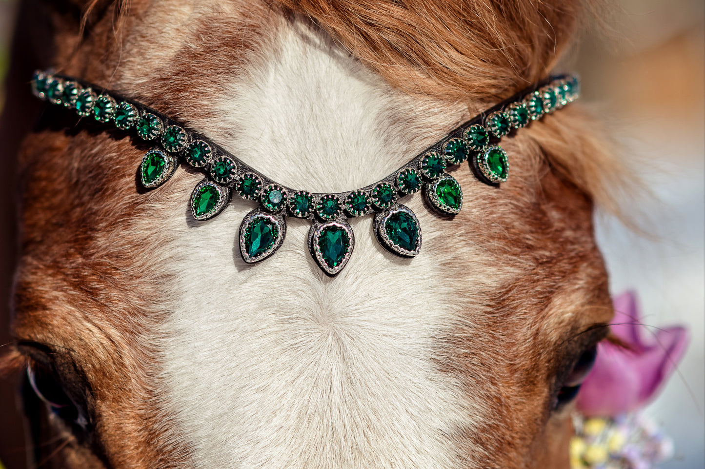 Horse browband Triumph green by IBV Equine
Presenting The Triumph Collection: A Tiara Worthy of Royalty.
Prepare to be captivated. This is the magnificent "big brother" to our Triumph collection, designed for unparalleled impact and ensuring it attracts attention from all corners of the arena. The commanding top row of 10mm K9 crystals is held securely by "clawed paws" that literally embrace each dazzling rhinestone, maximizing their brilliance and creating a continuous river of light. Below, each in