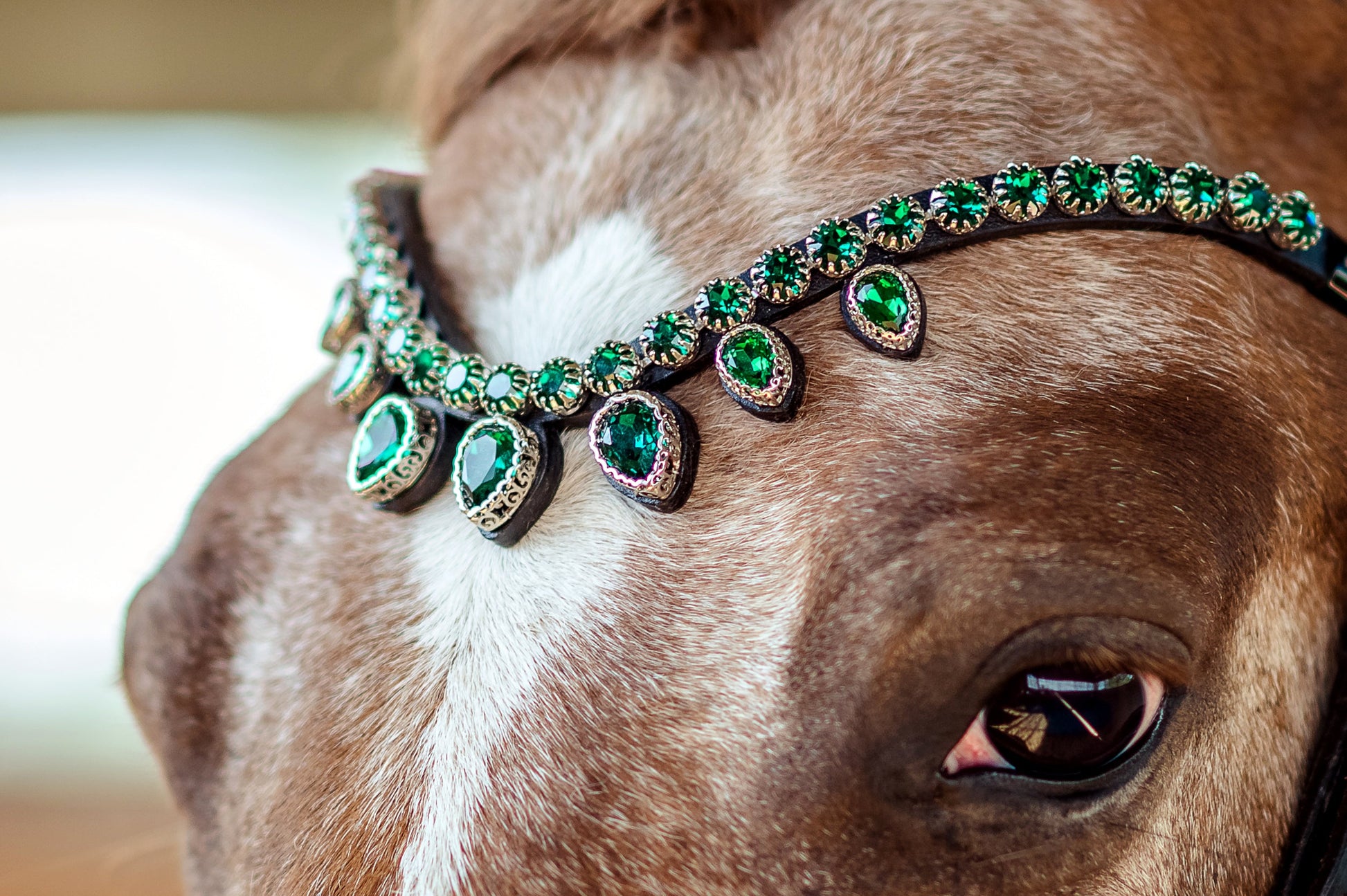 Horse browband Triumph lacy green by IBV Equine
Presenting The Triumph Collection: A Tiara Worthy of Royalty.
Prepare to be captivated. This is the magnificent "big brother" to our Triumph collection, designed for unparalleled impact and ensuring it attracts attention from all corners of the arena. The commanding top row of 10mm K9 crystals is held securely by "clawed paws" that literally embrace each dazzling rhinestone, maximizing their brilliance and creating a continuous river of light. Below, each in