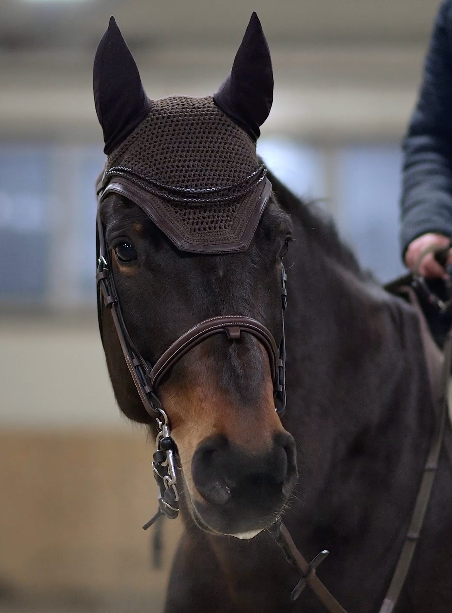 IBV EQUINE Double Braided Leather browband